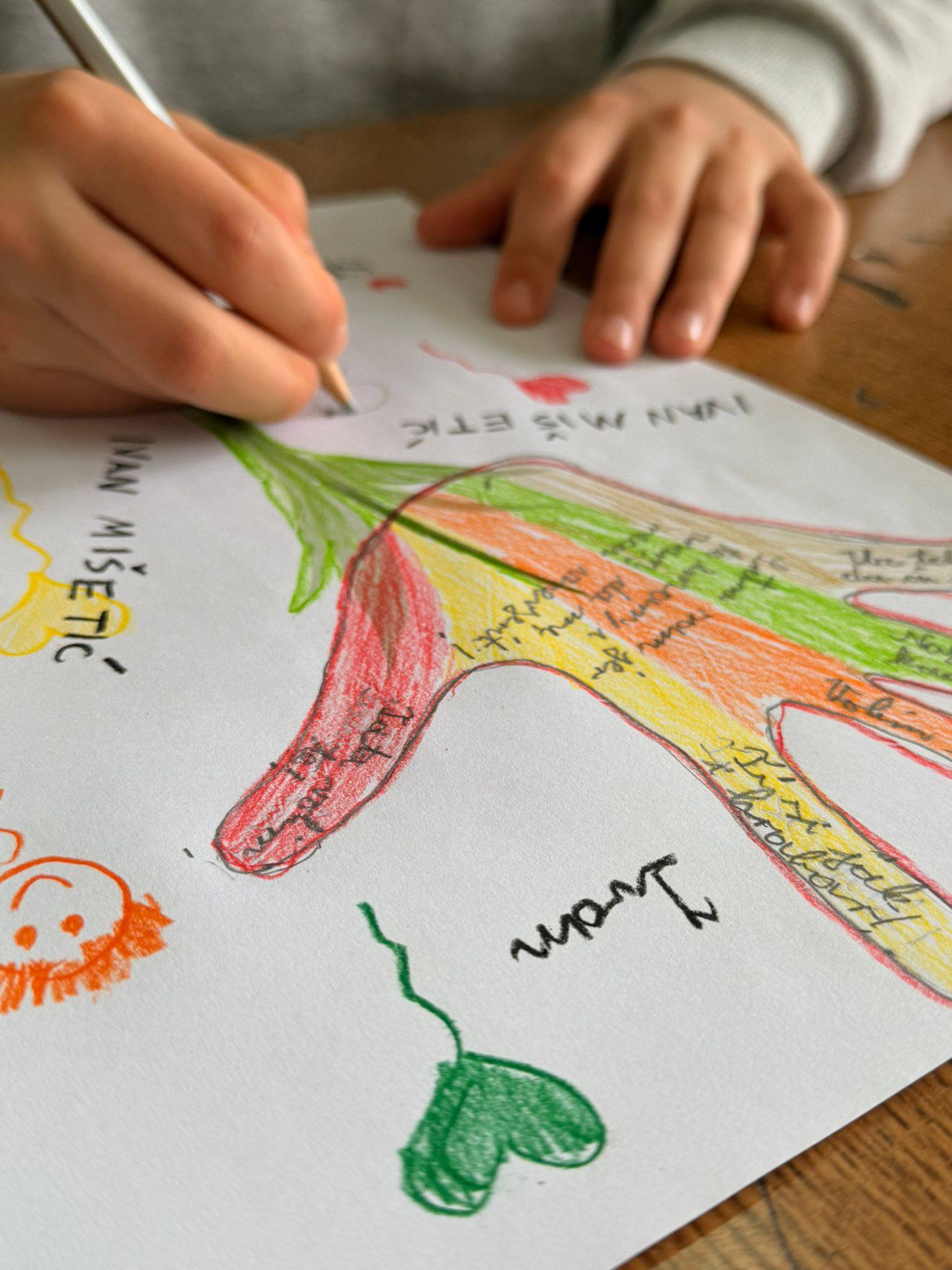 653776803_1421877849740094_4509848768251694121_n